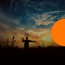 Сильна Доля